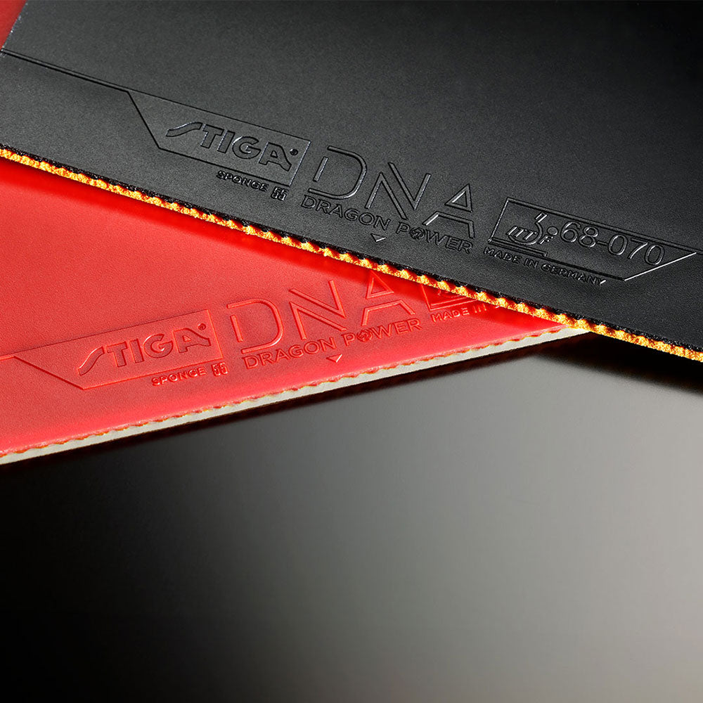 Stiga DNA Dragon Power 55