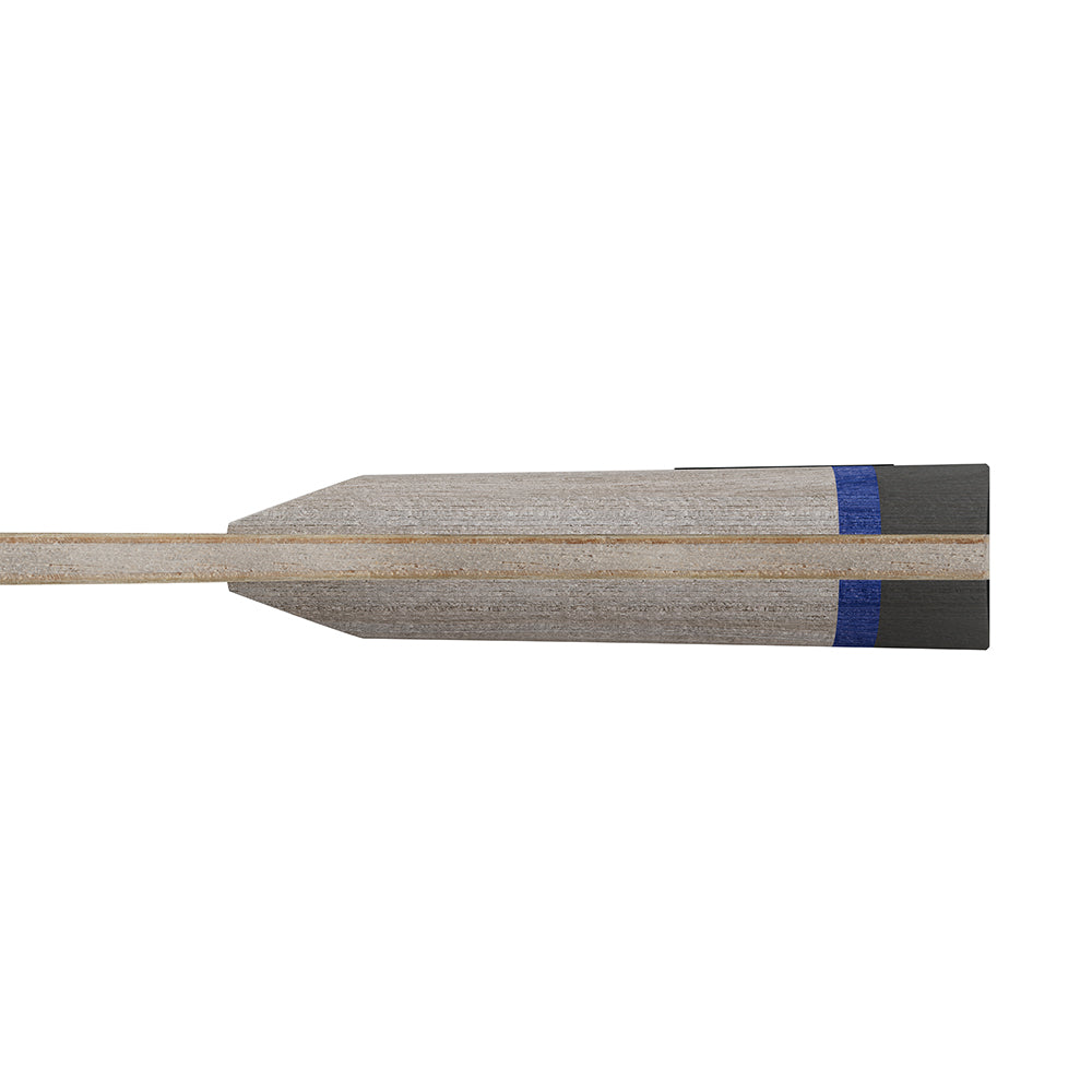 Joola BASEline Allround