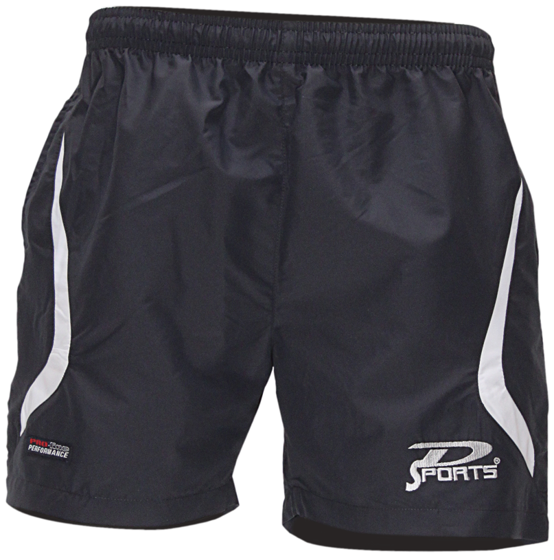 Dsports Shorts PERFORMANCE Grey